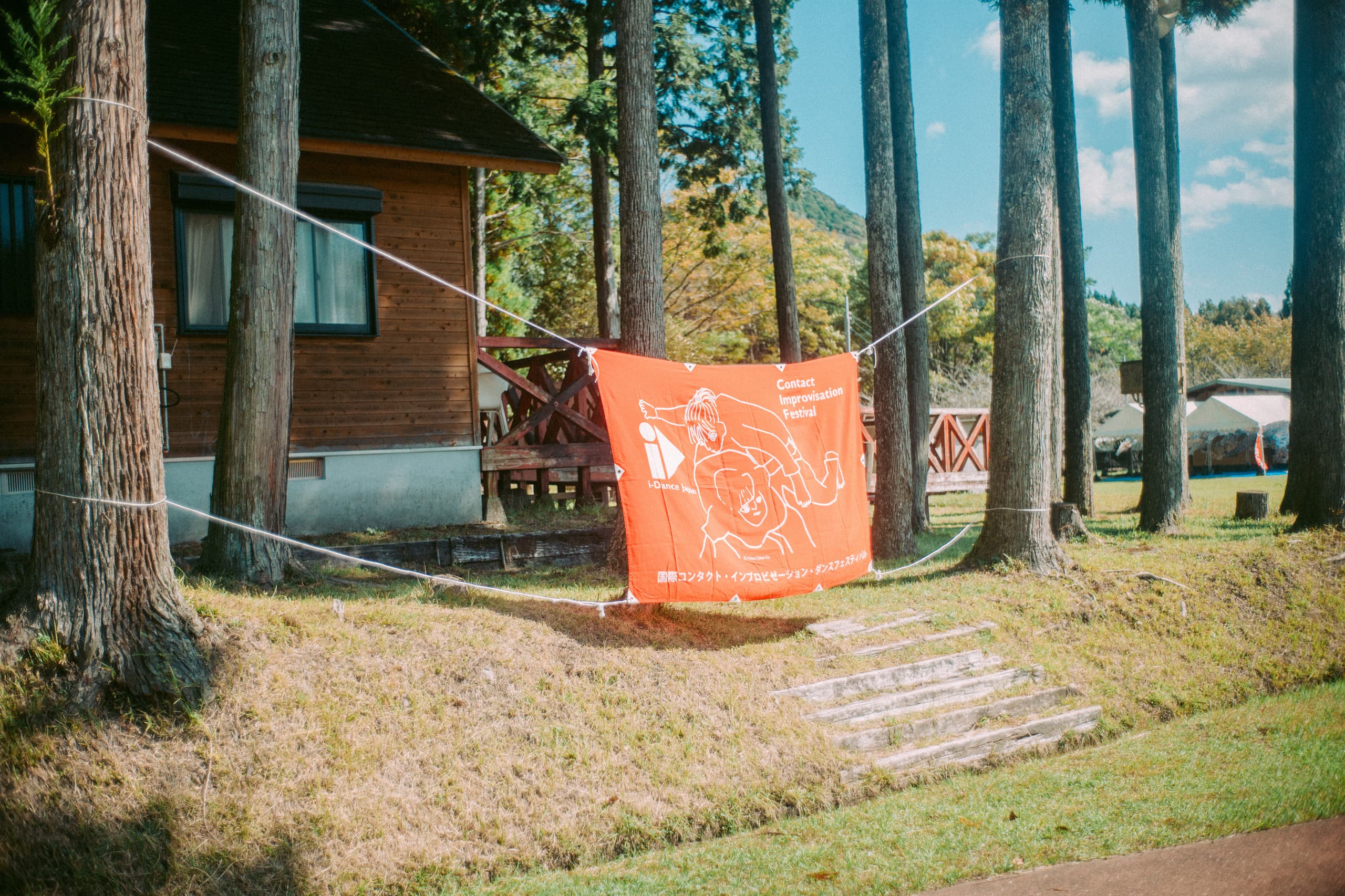 l1003914.jpg